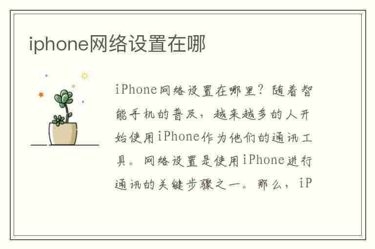 iphone网络设置在哪(iPhone网络设置在哪里)